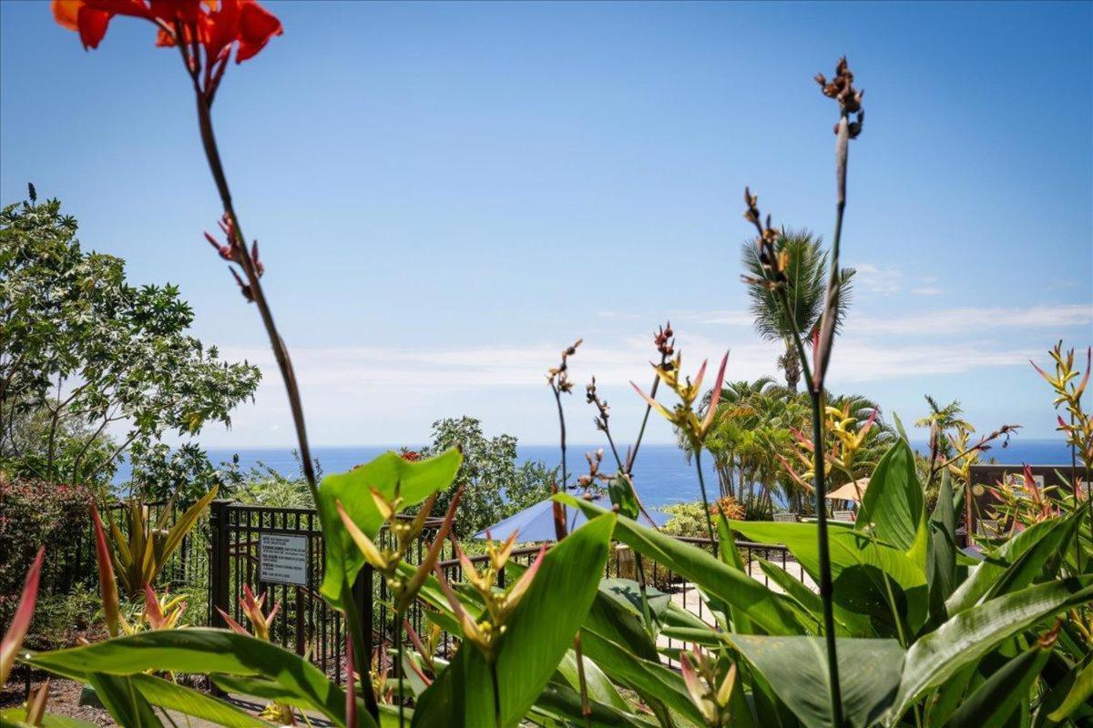 Kona Westwind 1 New! Quiet Ocean-View 1St Floor | Patio | Pool Villa Kailua-Kona Exterior foto